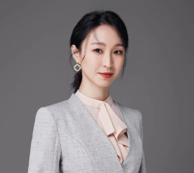 Meiying Hou, Company Formation lawyer
