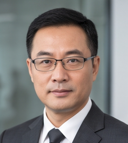 Weiyang Chen, Company Formation lawyer