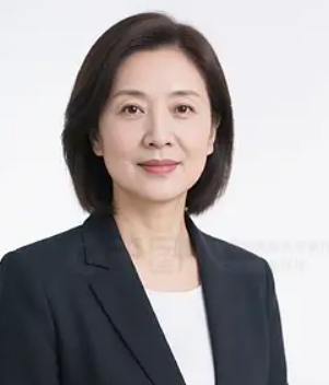 Yutong Han, Intellectual Property lawyer